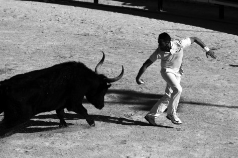 La Course Camarguaise aux arènes