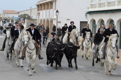 Abrivado aux Saintes Maries de la Mer